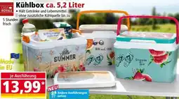 Norma Kühlbox Angebot