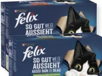 MPreis Purina Felix Katzenfutter Angebot