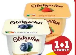 PENNY Danone Obstgarten Angebot