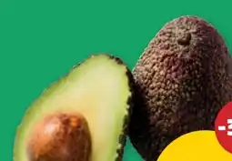 PENNY Avocado Hass Angebot