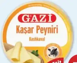 PENNY Gazi Kaşar Peyniri Kashkaval Angebot