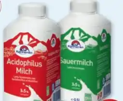 PENNY Kärntnermilch Acidophilus Milch Angebot