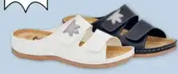PENNY Damen Pantoffeln Angebot