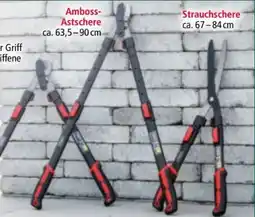 Norma Scheppach Teleskop-Ast-Strauchschere Angebot