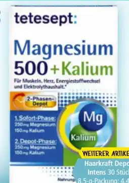 Norma Tetesept Magnesium 500+ Kalium Angebot