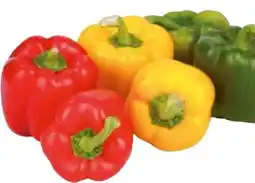 Transgourmet Paprika Mix Angebot