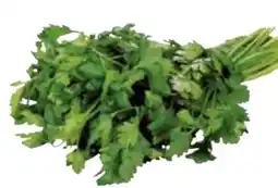 Transgourmet Natura Bio-Petersilie Angebot