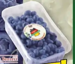 Norma Markische Hofe Beelitz Kultur-Heidelbeeren Angebot