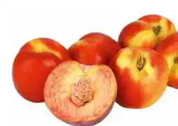 Transgourmet Nektarinen Angebot