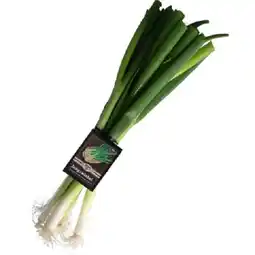 MPreis Jungzwiebel MPREIS Angebot