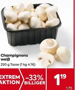Billa Champignons weiß Angebot
