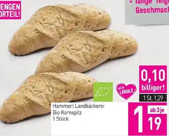 Sutterlüty Hammerl Landbäckerei Bio Kornspitz Angebot