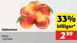 Nah&Frisch Nektarinen Angebot