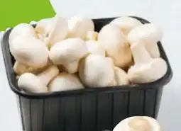 Billa Champignons Angebot