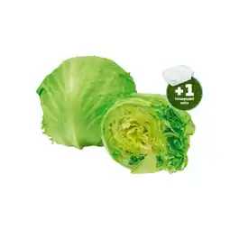 PENNY Knackiger Eissalat jö Bonus Club Preis Penny Angebot