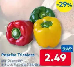 T&G Paprika Tricolore Angebot