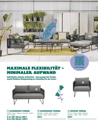Casa Loungesofa tender Angebot