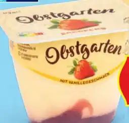 Hofer Danone Obstgarten Angebot