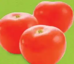 Hofer Hofer Marktplatz Tomaten Angebot
