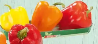 Spar Spar Paprika-Mix Angebot