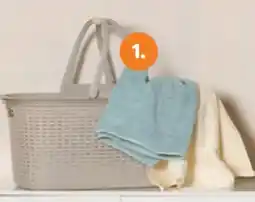 Hofer Home Creation Wäschekorb Angebot
