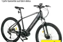 Hofer Grundig E-Mountainbike HT Angebot