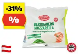 Hofer ZURÜCK ZUM URSPRUNG BIO-Mozzarella, 125 g Angebot