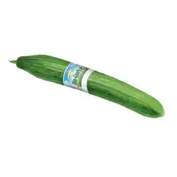 Interspar Bio-Gurke INTERSPAR Angebot