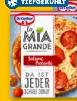 ADEG Dr. Oetker Pizza La Mia Grande Angebot