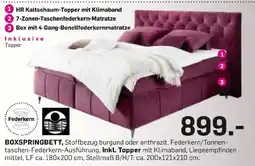 Möbel Ludwig Boxspringbett Angebot