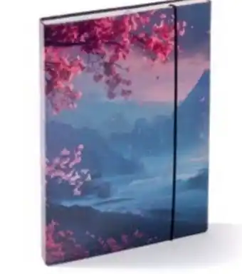 Pagro Diskont Heftbox DIN A4 Angebot