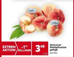 Billa SanLucar Plattpfirsiche gelegt Angebot