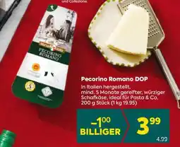 Billa Pecorino Romano DOP Angebot