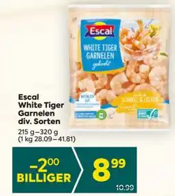 Billa Escal White Tiger Garnelen div. Sorten Angebot