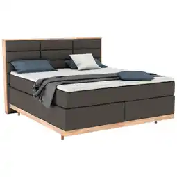 XXXLutz Boxspringbett 160/200 cm in Braun Angebot