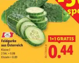 Lidl Feldgurke aus Österreich Angebot