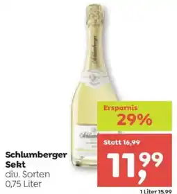 ADEG Schlumberger Angebot