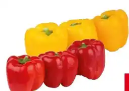 Transgourmet Paprika Angebot