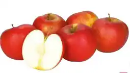 Transgourmet Economy Apfel Angebot