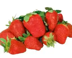 Transgourmet Erdbeeren Angebot
