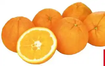Transgourmet Orangen Angebot
