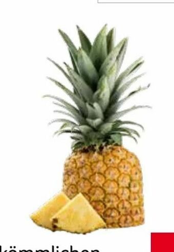 Transgourmet Ananas Angebot