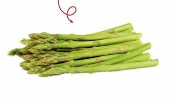 Transgourmet Baby Spargel Angebot