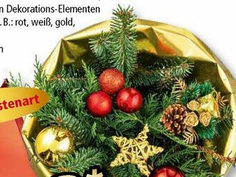Norma Strauß Angebot