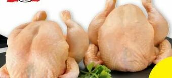 PENNY Hendl Bratfertig Angebot