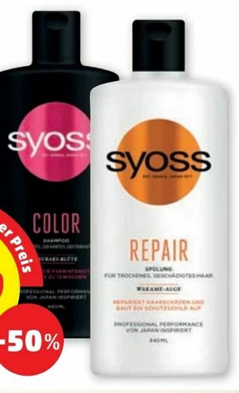 PENNY Shampoo Angebot