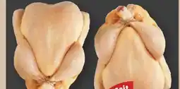 PENNY Federike Hühner Grillfertig Angebot