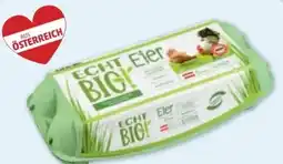 PENNY Echt Bio Eier Angebot