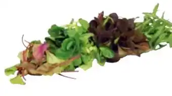 Transgourmet Natürlich für uns Bio Mix Pflücksalat Angebot