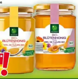 Norma Bio Sonne Bio-Blütenhonig Angebot